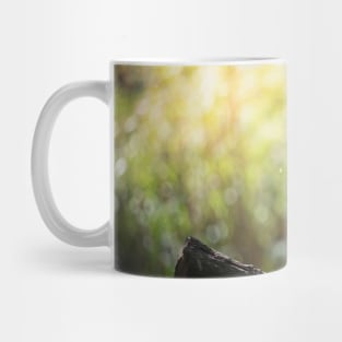 Meerkat Mug